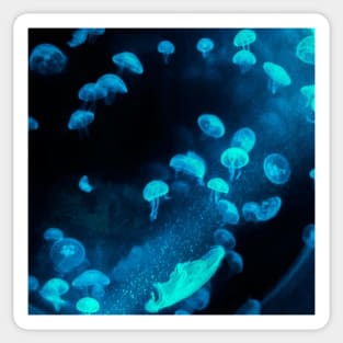 Blue jellyfish Sticker